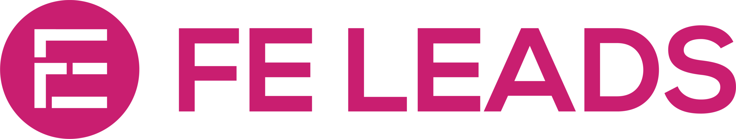 FE Leads